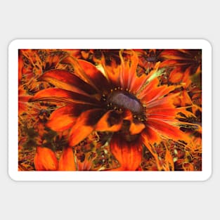 Vivid Chocolate Rudbeckias Sticker